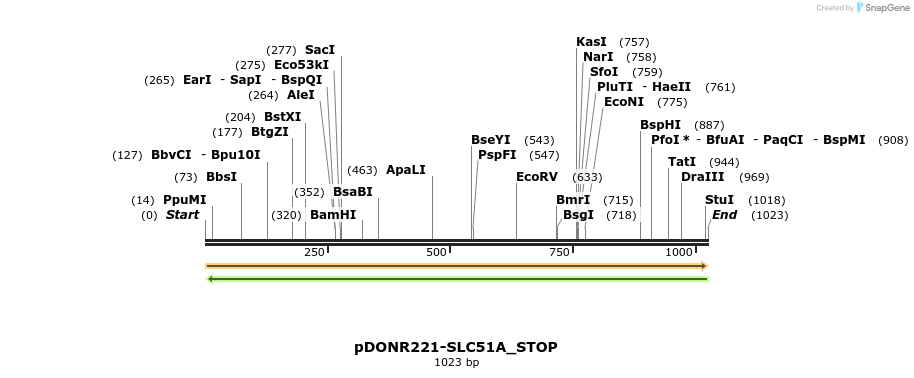 312747_map
