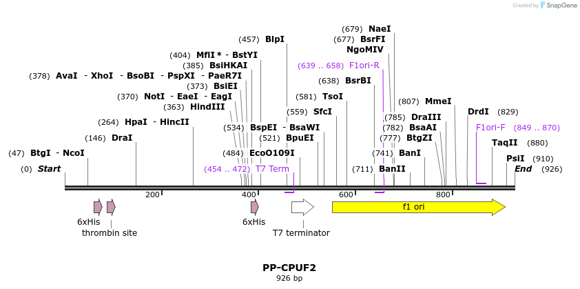 31275_map
