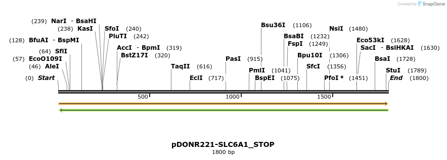 312751_map