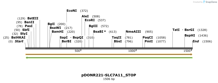 312755_map