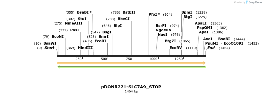 312757_map