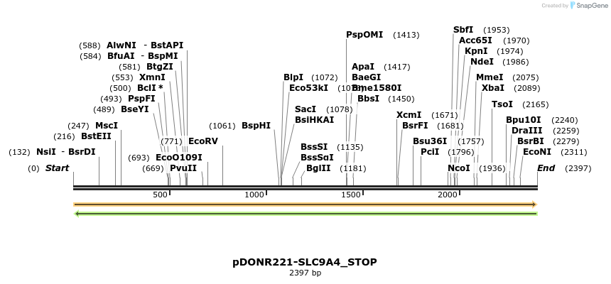 312759_map