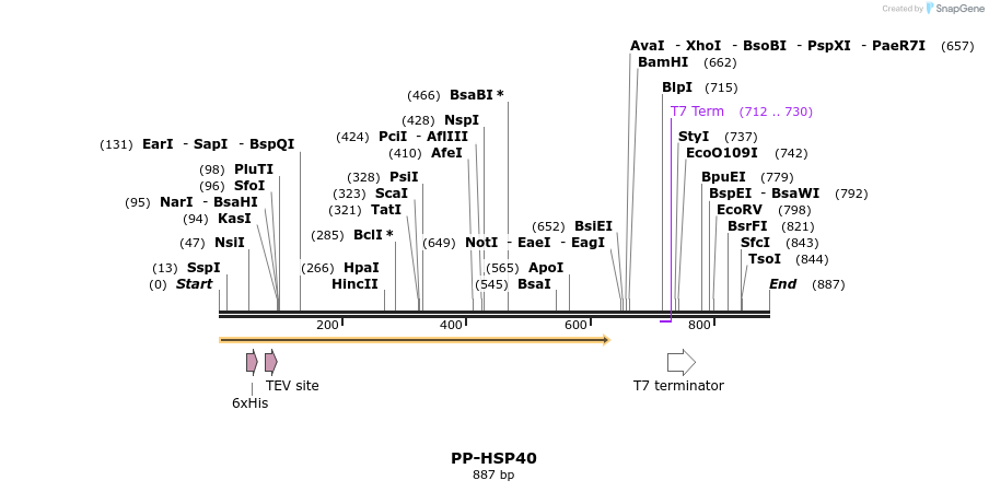 31276_map