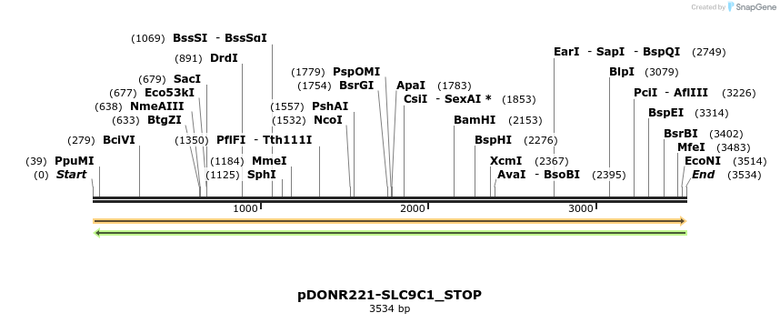 312761_map