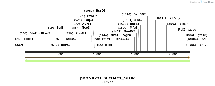 312763_map