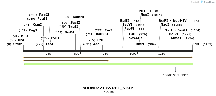 312767_map