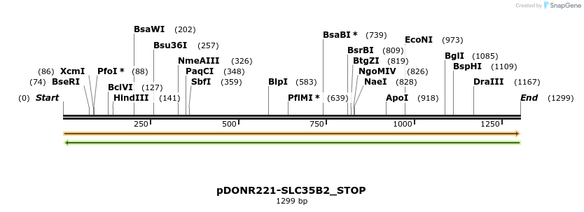 312769_map