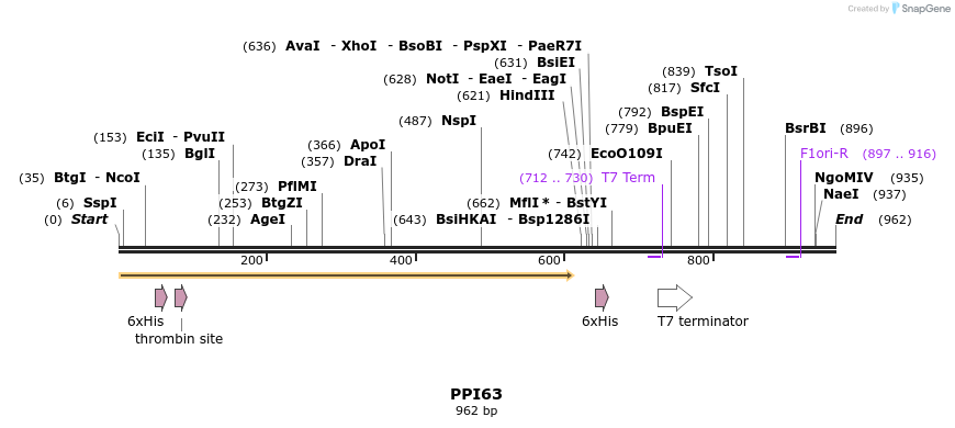 31277_map