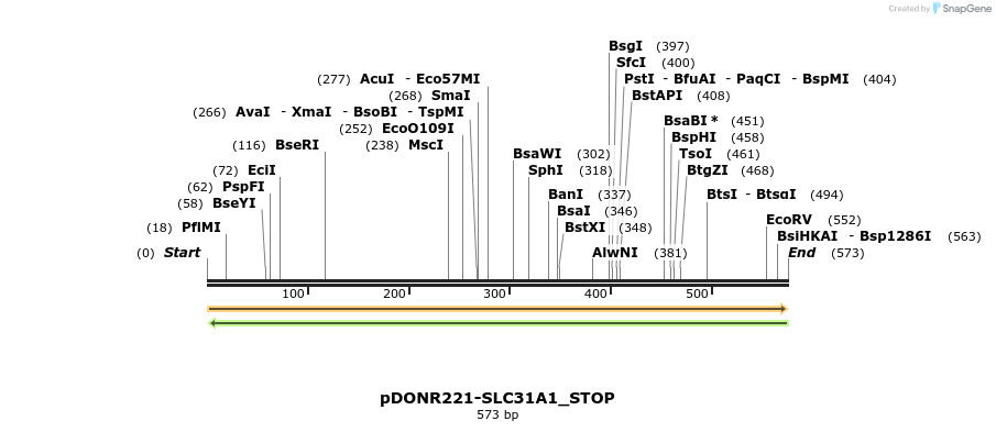 312771_map