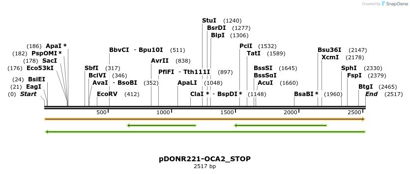 312773_map