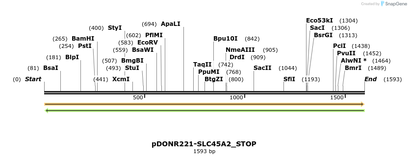 312775_map