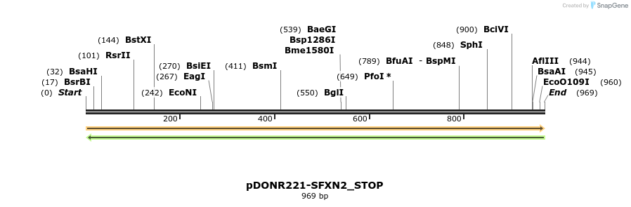 312779_map