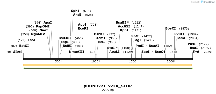 312781_map