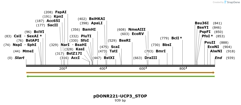 312783_map