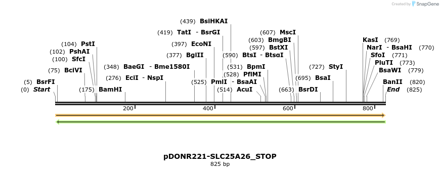 312785_map