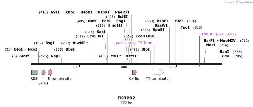 31279_map