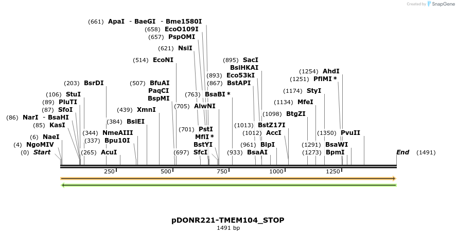 312791_map