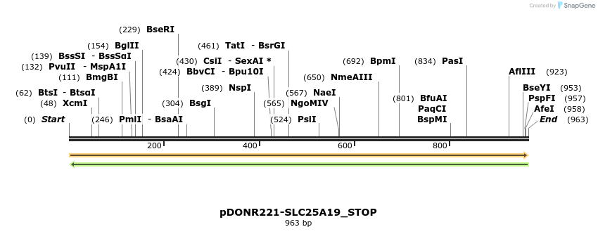 312793_map