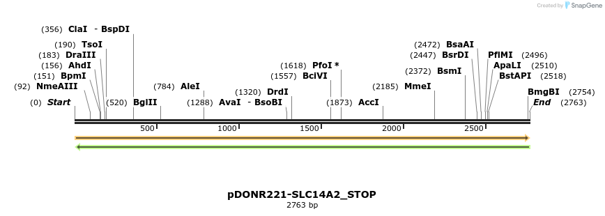 312797_map