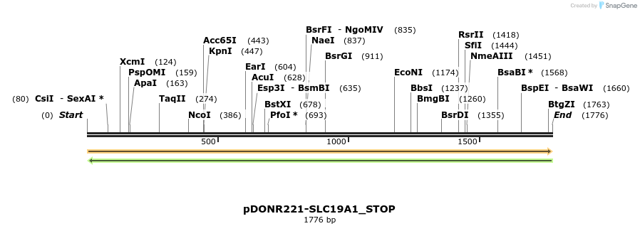 312799_map