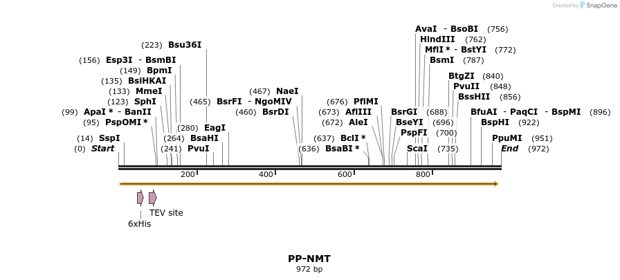 31280_map