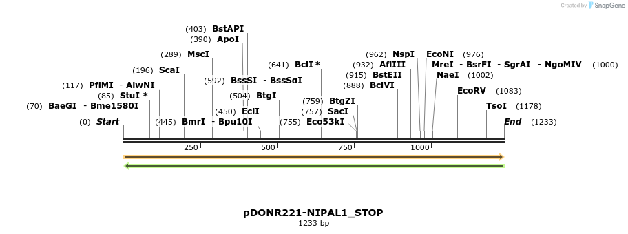 312801_map