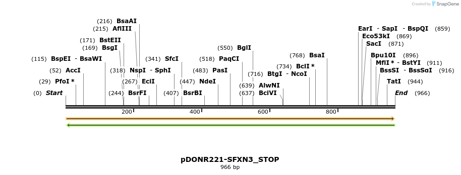 312803_map