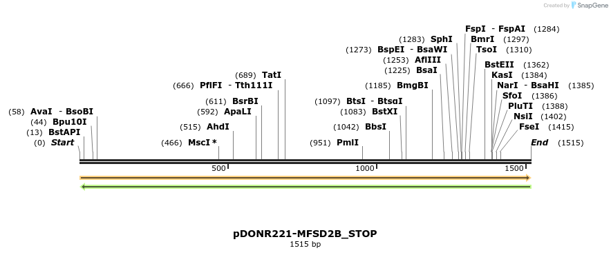 312805_map