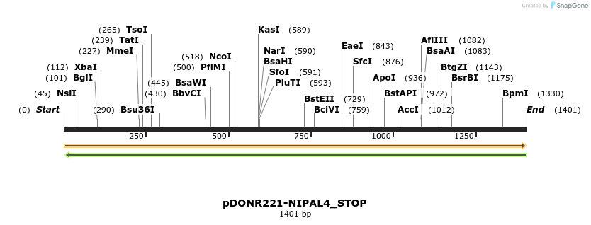 312809_map