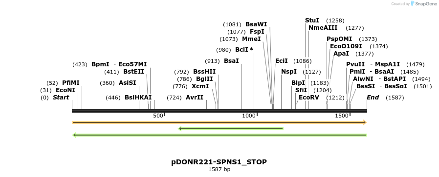 312813_map