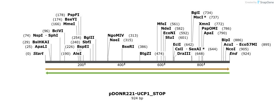 312815_map