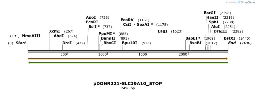 312817_map