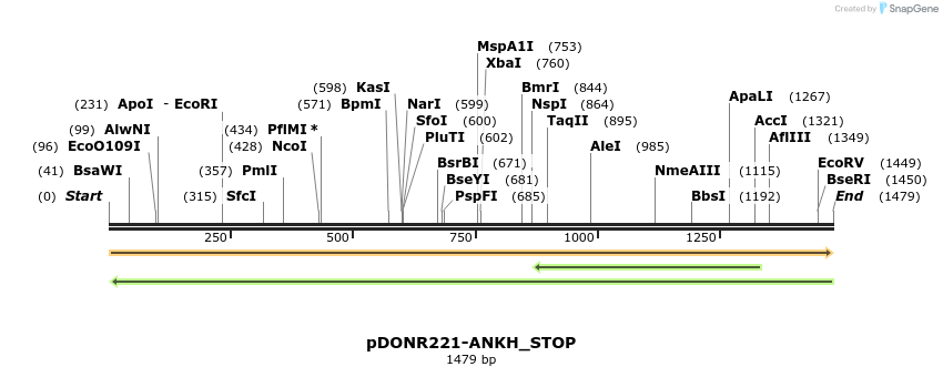 312823_map