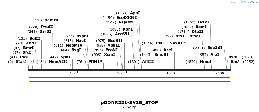 312829_map