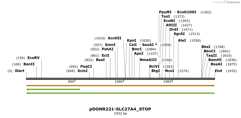 312833_map