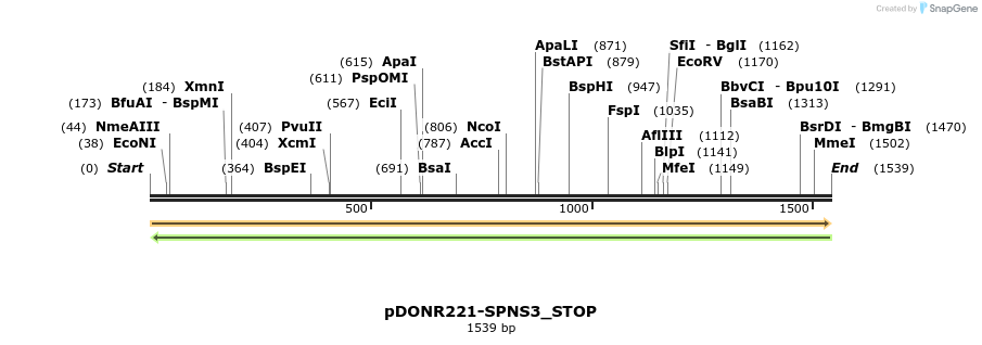 312837_map