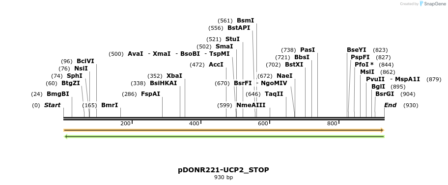 312839_map