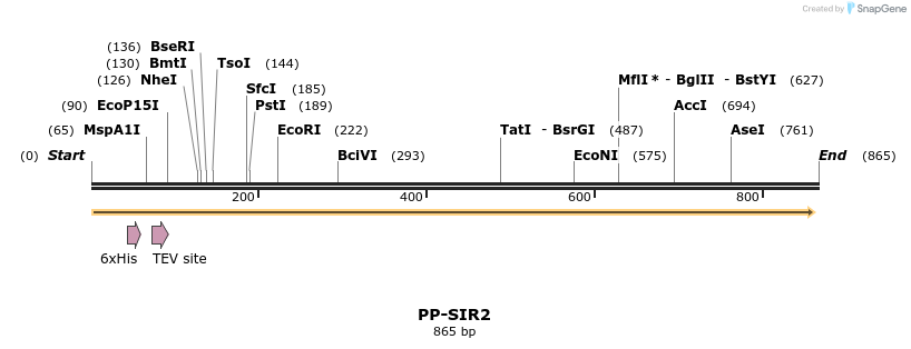 31284_map