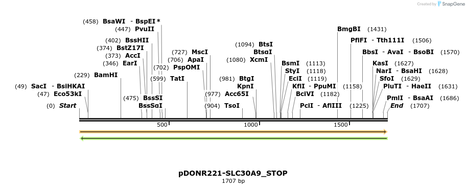 312841_map
