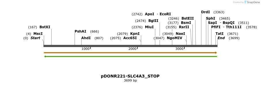 312843_map
