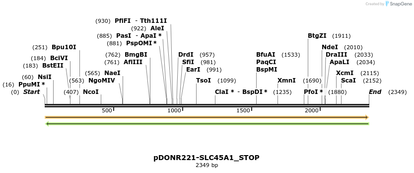 312845_map