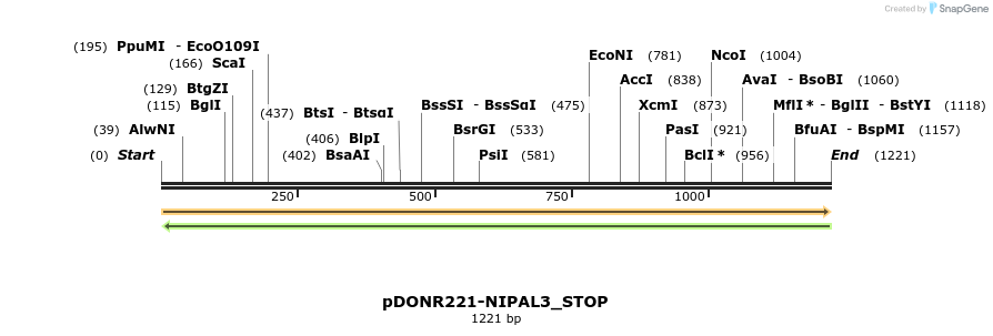 312849_map