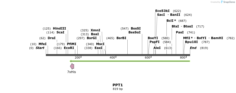 31285_map