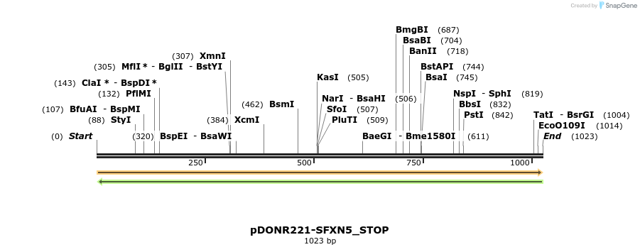 312851_map
