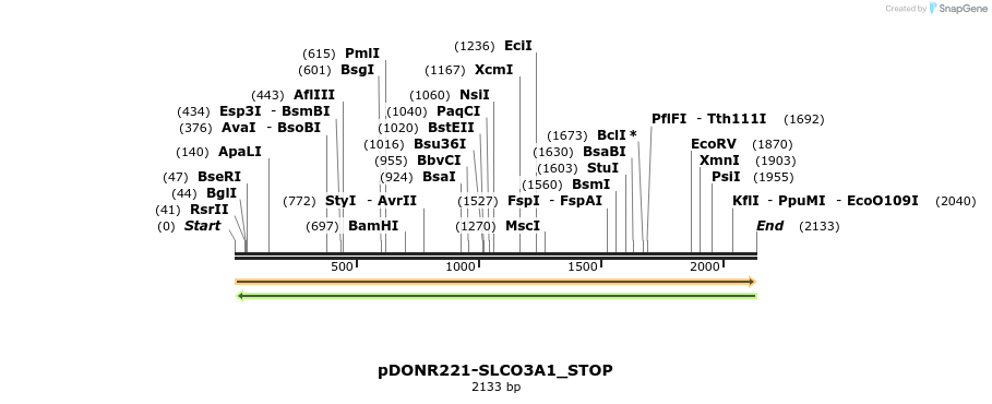 312853_map