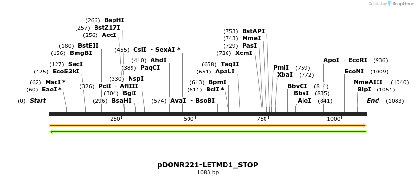 312855_map