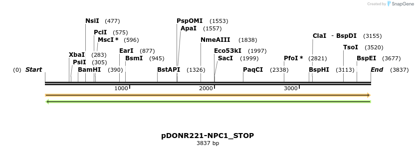 312857_map