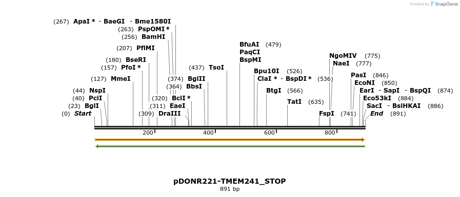 312859_map