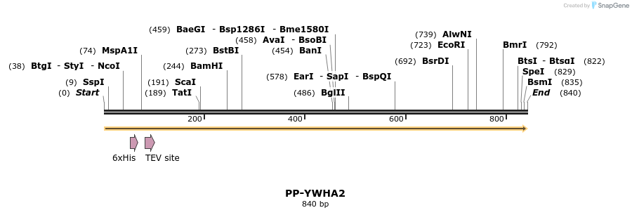 31286_map