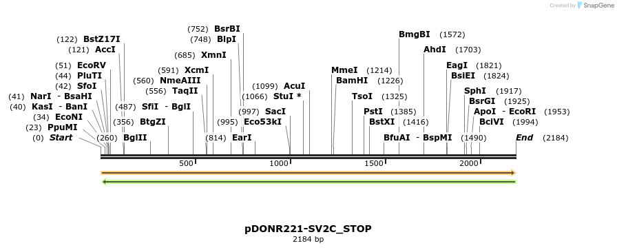 312861_map